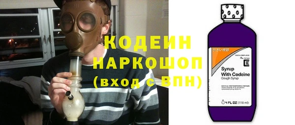 крисы Армянск