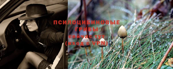 синтетический гашиш Арсеньев