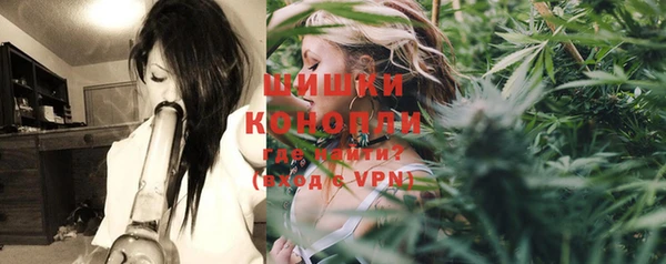 крисы Армянск